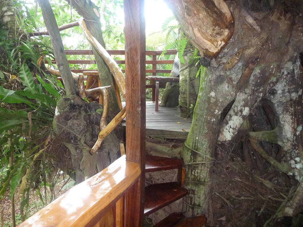 Topos Tree House カウイータ エクステリア 写真