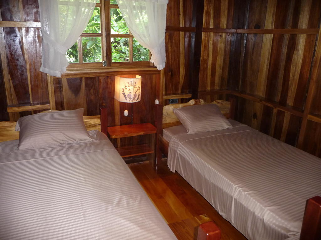 Topos Tree House カウイータ 部屋 写真