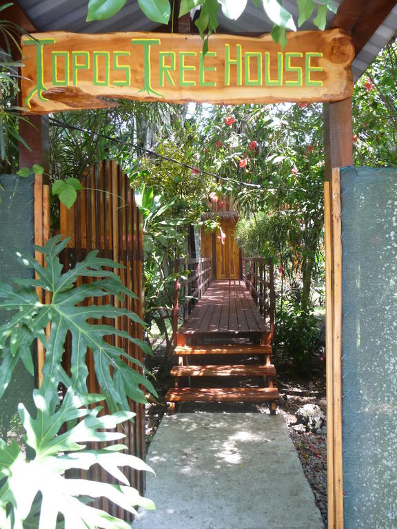 Topos Tree House カウイータ 部屋 写真