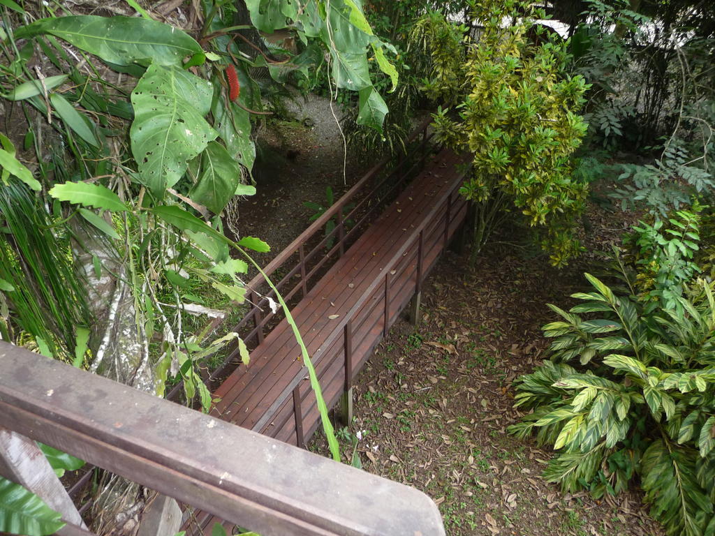 Topos Tree House カウイータ エクステリア 写真