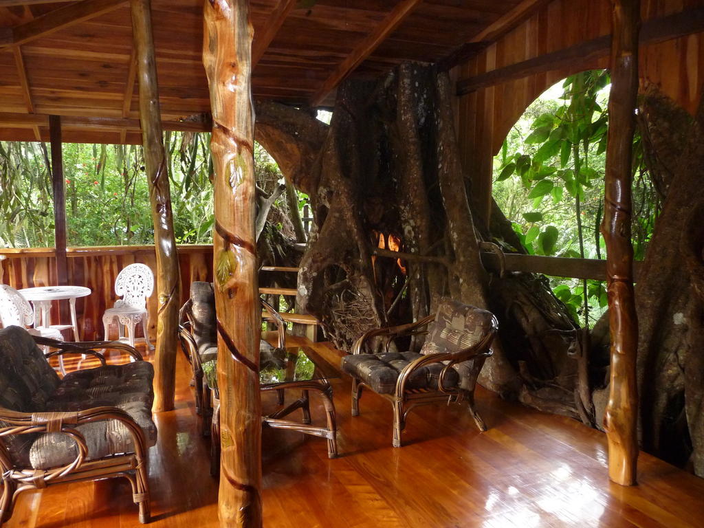 Topos Tree House カウイータ エクステリア 写真
