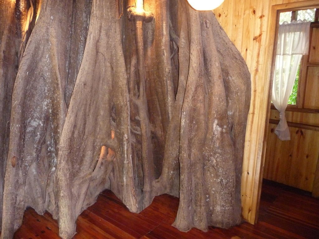 Topos Tree House カウイータ エクステリア 写真