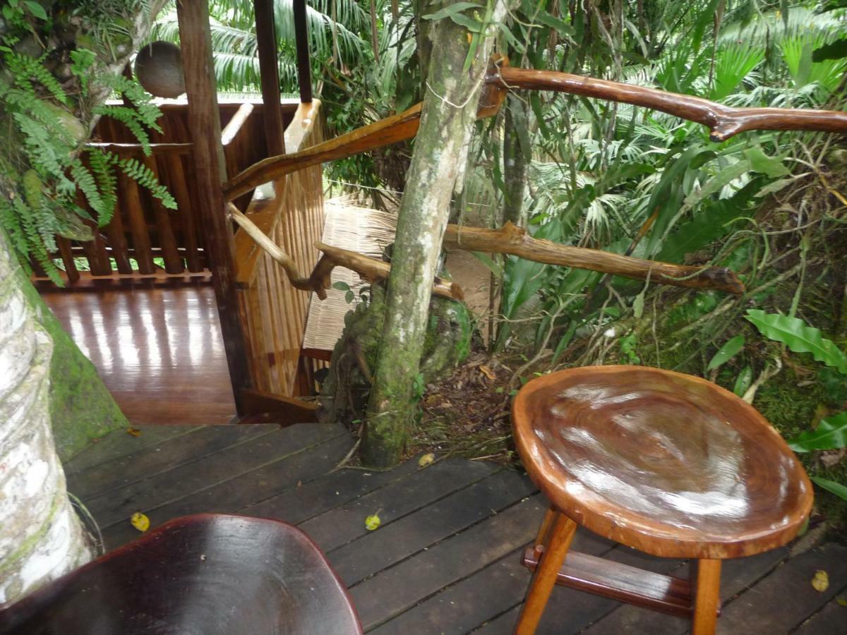 Topos Tree House カウイータ エクステリア 写真